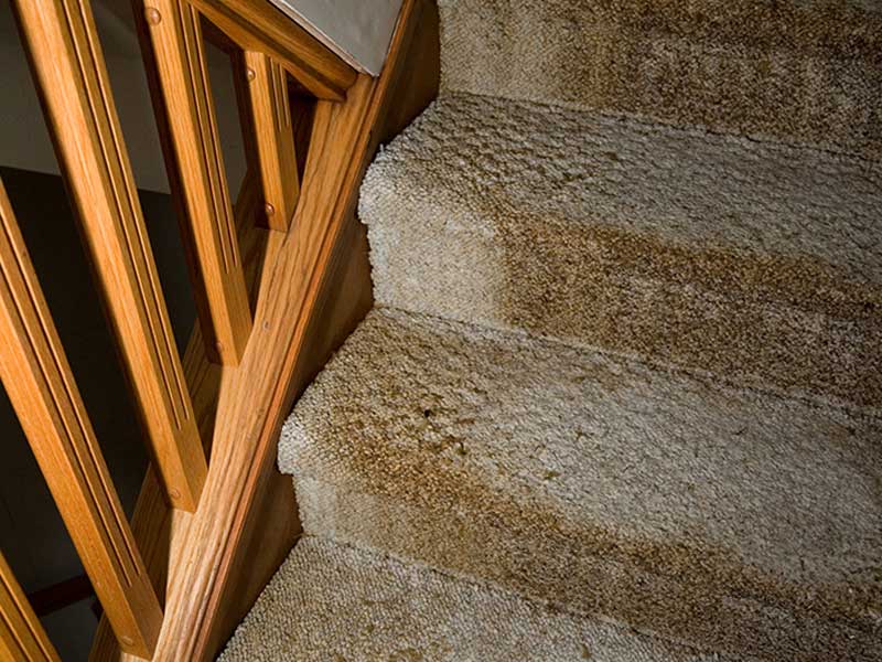 old dirty stairway carpet